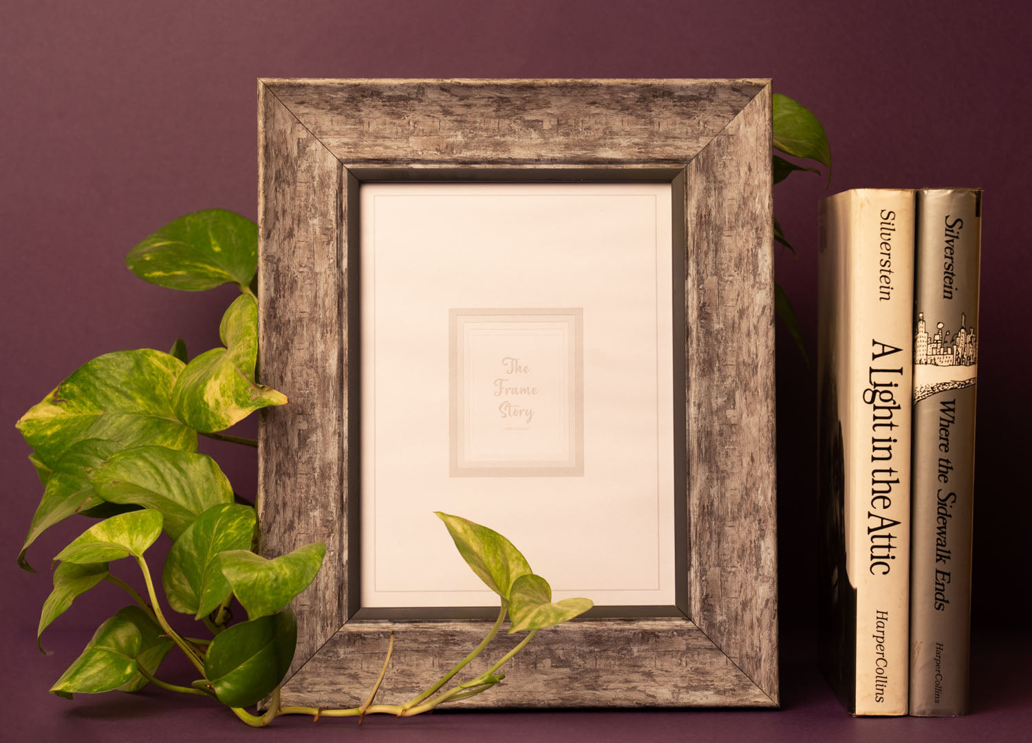 Sapid Series – The Frame Story
